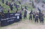Un groupe islamiste pakistanais fait allégeance à l’Etat Islamique