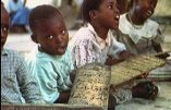Le Cameroun libère 71 enfants en captivité chez les maitres coraniques