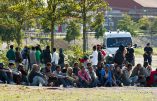 Des trafiquants albanais empochent 9.800 euros par personne pour faire passer des immigrés clandestins de France en Angleterre