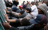Immigration – Le suicide des nations européennes