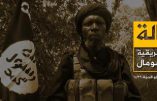 L’Etat Islamique en Afrique de l’Ouest cherche à s’allier les shabab somaliens