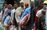 Italie – Révolte de clandestins africains, le personnel se barricade dans les bureaux du centre d’accueil