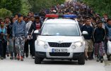 “On veut de l’argent, pas de la nourriture”, crient des immigrés en Allemagne