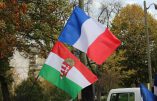 Plusieurs centaines de personnes devant l’ambassade de Hongrie à Paris en soutien à Viktor Orban
