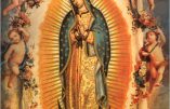 L’abbé Beauvais nous parle de Notre-Dame de Guadalupe (4)