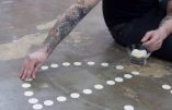 Une profanation d’hosties présentée comme “œuvre d’art contemporain” est vendue 285.000 euros