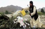 Afghanistan – L’Etat Islamique rivalise avec les Talibans