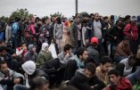 Stop aux migrants, trop de violences