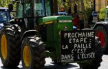 Hallucinant: 27 suicides par jour, agriculteurs en tête. Que fait le gouvernement ? Il finance l’emploi en Tunisie!