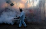 Brésil : le produit anti-moustique pulvérisé est plus toxique que le virus Zika