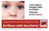 Wallonie – Interdiction de l’abattage rituel des animaux sans étourdissement : les communautaristes juifs et musulmans mécontents