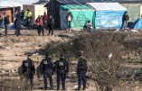 Combien d’immigrés armés à Calais ? Encore un blessé par balle dans la “Jungle”…