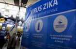 El Salvador : 13 femmes enceintes infectées par Zika, aucun cas de microcéphalie confirmé