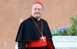 La Grande Loge d’Espagne répond à son « Vénérable Frère Gianfranco », le cardinal Ravasi, proche du pape François