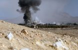 L’armée syrienne prépare son assaut contre les islamistes retranchés à Palmyre, tandis que le « Printemps arabe » tente une nouvelle percée…