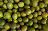 Les aides de l’Union Européenne à l’huile d’olive de Tunisie : une traîtrise