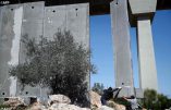 La construction du mur israélien à Crémisan, en Palestine, continue dans une indifférence quasi-générale. La condamnation du patriarche de Jérusalem