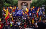 Des milliers de patriotes manifestent à Madrid