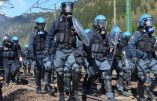 Forze dell'ordine impegnate nell'operazione di sgombero dei manifestanti del Brennero, 7 maggio 2016. ANSA / ROBERTO TOMASI