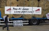 Le cri de détresse des agriculteurs français