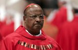 Cardinal Napier :”Demander pardon aux gays ? Que Dieu nous sauve du politiquement correct”