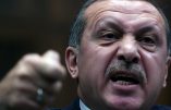La Turquie bombarde des troupes kurdes en Syrie