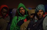 Invasion en marche : un député LREM propose un crédit d’impôt pour les personnes hébergeant des « réfugiés »