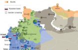 Opérations militaires en Syrie : trois fronts concomitants – 2 : la Province d’Idlib