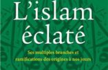 L’islam éclaté : ses multiples branches et ramifications (Henri de Saint-Bon)