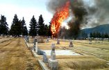 This picture taken by eyewitness Martha Guidoni with her cellphone and provided by the Montana Standard shows a small, singe-engine plane bursting into flames in Holy Cross Cemetery on March 22, 2009 just south of the Bert Mooney Airport in Butte, Montana. All 17 people on board were killed, many of them children heading on a skiing holiday, federal aviation officials said. The plane, a single engine turboprop, was heading from Oroville, California, just north of San Francisco on a 900-mile (1,500-kilometer) journey to Bozeman, Montana. EDS NOTE: Best quality available.         AFP PHOTO/Martha Guidoni via the Montana Standard/HO          ++RESTRICTED TO EDITORIAL USE - MANDATORY CREDIT: MARTHA GUIDONI VIA THE MONTANA STANDARD++ (Photo credit should read MARTHA GUIDONI/AFP/Getty Images)   Original Filename: Was2238766.jpg