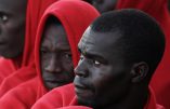 L’évêque et les gentils migrants