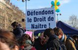 Reportage photos à la Marche pour la Vie 2017