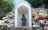 La Vierge noire de Ste Marie de la Réunion profanée