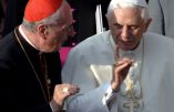 Benoît XVI : “le navire a tant pris l’eau qu’il est sur le point de chavirer”