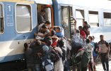 Migrants, l’Allemagne insiste pour  tous les renvoyer… en Italie ou en Grèce !