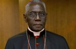 Le cardinal Sarah fait l’éloge du sacrifice des Vendéens et de l’œuvre du Puy-du-Fou
