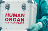 L’Egypte, l’Arabie Saoudite, la Turquie et Israël mêlés à un trafic d’organes prélevés sur des migrants