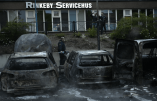 Immigration en Suède – La banlieue de Rinkeby est devenue une « zone de guerre » selon le procureur général de Stockholm