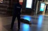 Belgique – Un immigré afghan attaque au couteau des policiers dans une gare