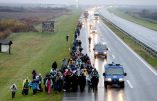 epa05628456 Hundreds of migrants march from Belgrade to Croatian border on the highway Belgrade-Zagreb near Pecinci 50km from Belgrade, Serbia, 12 November 2016. According to reports, hundreds of migrants from Middle East countries marched through the Serbian capital, apparently trying to move towards Croatia, in order to reach western European countries.  EPA/KOCA SULEJMANOVIC
