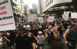 Manifestation en Australie en soutien aux fermiers blancs d’Afrique du Sud victimes de persécutions