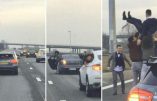 Le comportement “répugnant” d’immigrés qui bloquent l’autoroute pour une fête de mariage