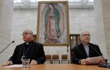 Abus sexuels : démission en bloc des évêques chiliens