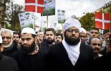 Changement au Danemark : les immigrés doivent s’assimiler ou partir, explique le gouvernement
