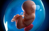 A-t-on créé un embryon ?