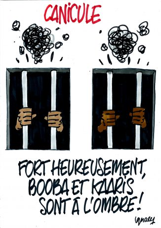 Ignace - Canicule