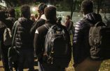 Ces “réfugiés” qui vont en vacances dans leur pays d’origine où ils risquent soi-disant leur vie