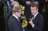 Macron au centre d’une nouvelle alliance européenne gauche-droite, annonce Guy Verhofstadt