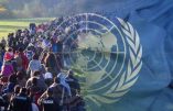 Pour protéger sa souveraineté, l’Autriche se retire du pacte de l’ONU sur les migrations