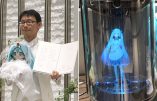 Un Japonais paye pour épouser un hologramme d’une héroïne manga